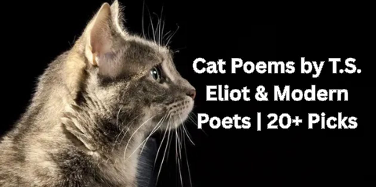 Cat Poems by T.S. Eliot & Modern Poets 20+ Picks