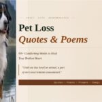 Pet loss quotes and poems with rainbow bridge and dog silhouette