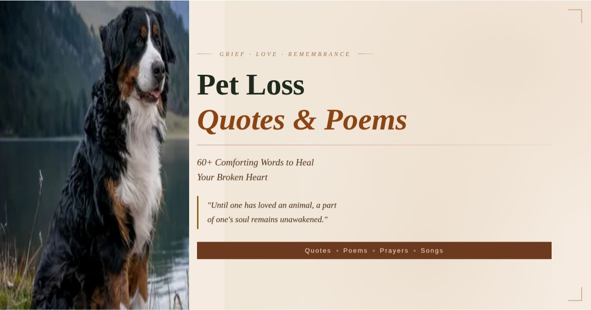 Pet loss quotes and poems with rainbow bridge and dog silhouette