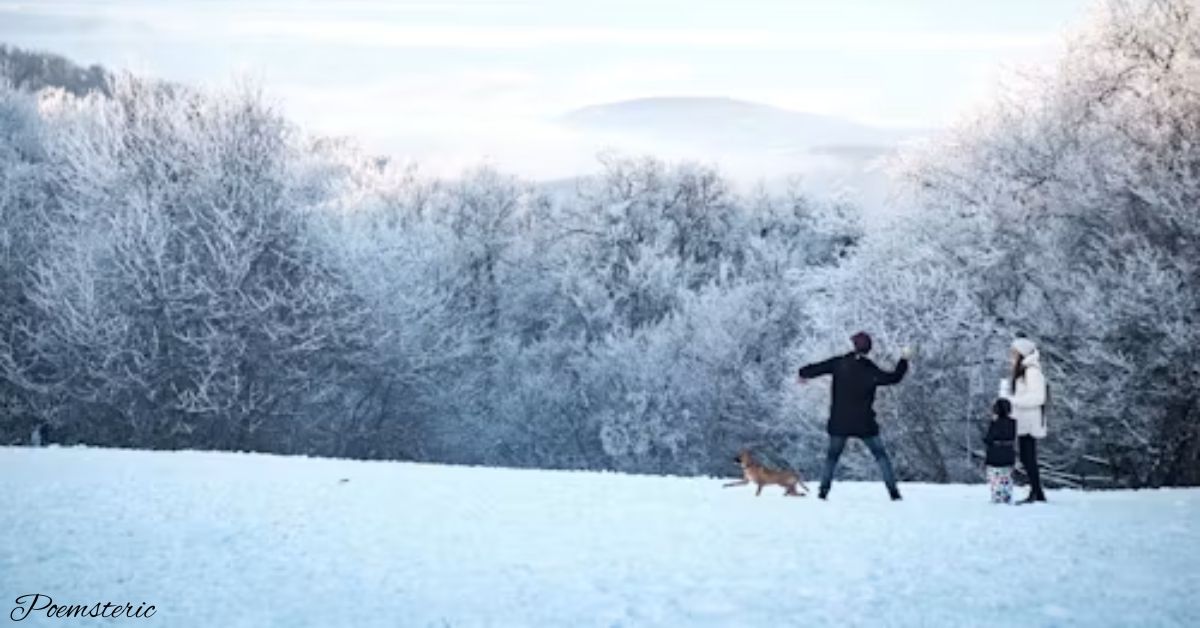 Winter poems featured image showing that people Enjoying winter on vacations and playing each other.