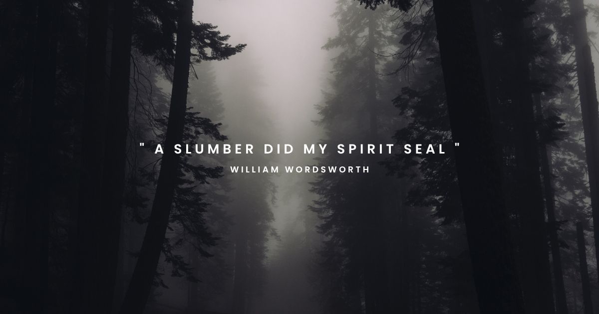 Dark foggy forest background for William Wordsworth's poem 'A Slumber Did My Spirit Seal".