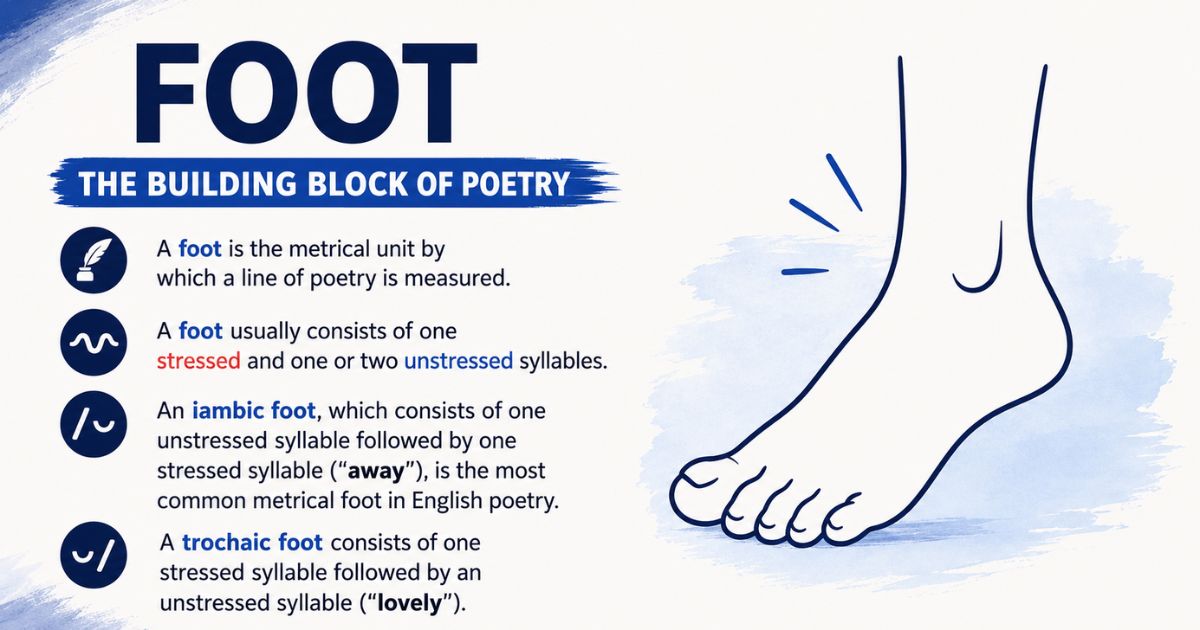 Foot of poetry infographic explaining iambic and trochaic metrical units.