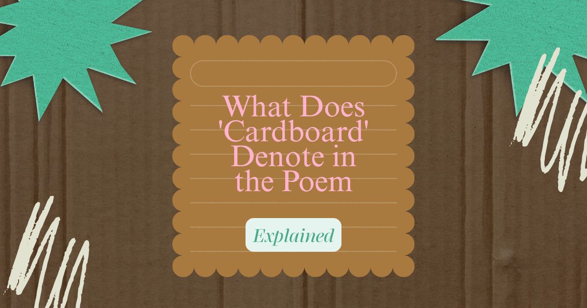What does cardboard denote in the poem explained visual