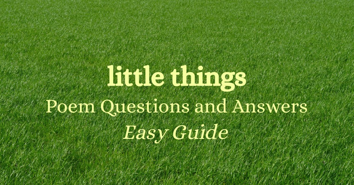 Little Things poem questions and answers - easy guide with green grass background.