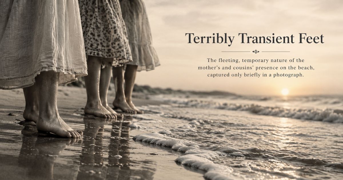Bare feet at the shoreline illustrating what does terribly transient feet mean in the poem.