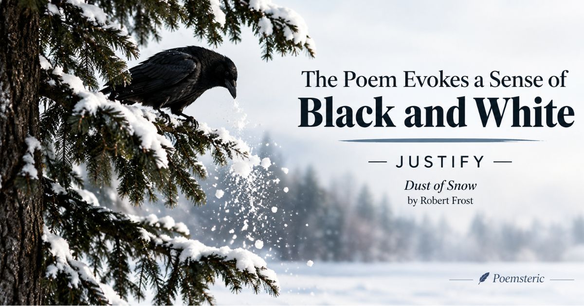 The poem evokes a sense of black and white — crow shaking snow in Dust of Snow.