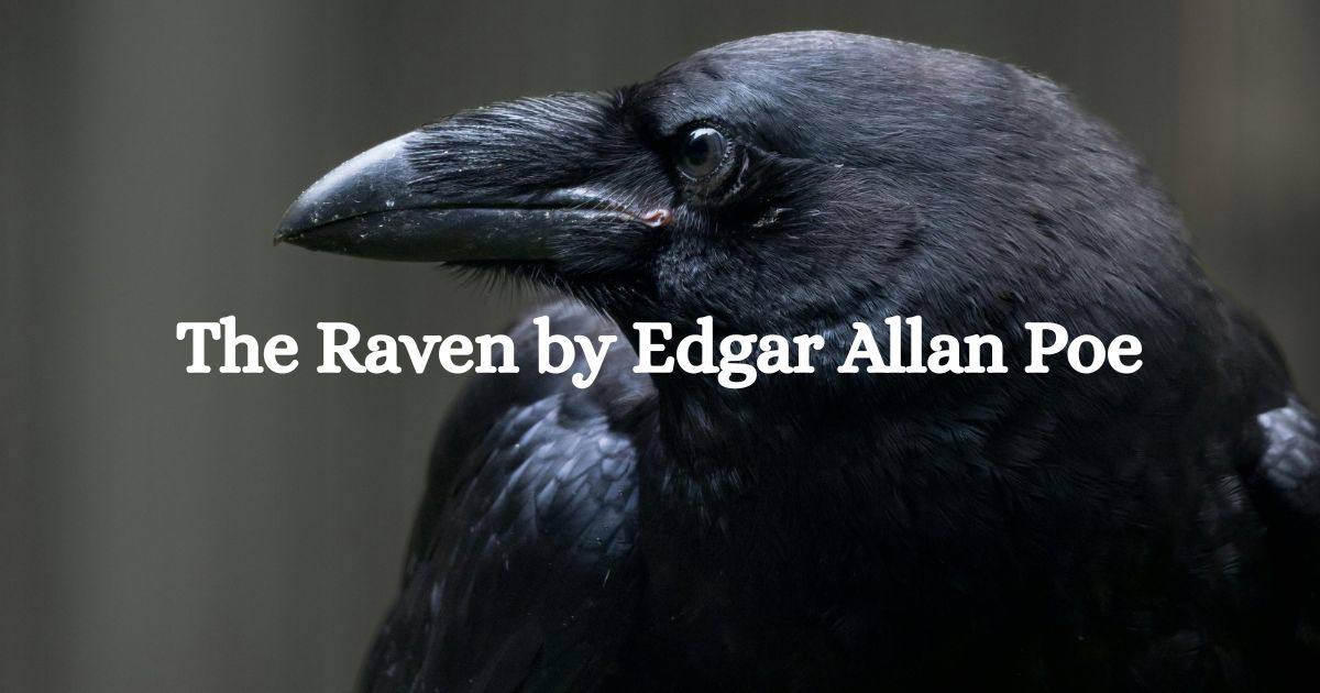 Close-up of a black raven, featured image for The Raven by Edgar Allan Poe.